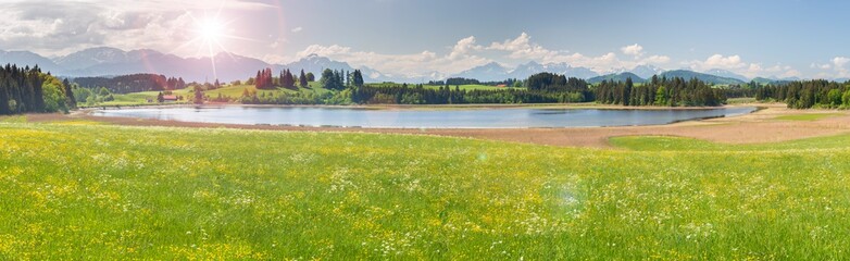 Fototapeta na wymiar panoramic scene with lake Forggensee and alps mountain range in Bavaria