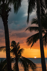 (Selective focus) Stunning view of a dramatic sunset in the background and the silhouette of coconut palm trees in the foreground. White Beach, Boracay Island, Philippines.