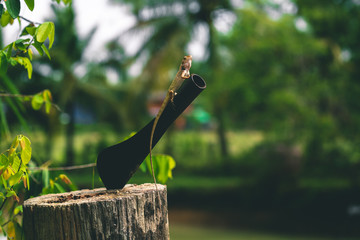 Lizard sitting on a tree next to a big knife