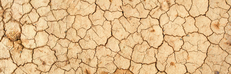 Background and texture of cracked dry earth. Panorama.