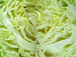 Cabbage or leafy cabbage, mostly green But other colors such as white and purple are native to the...