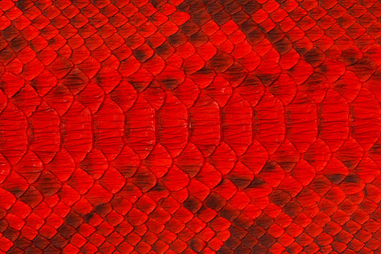 red pattern background hd