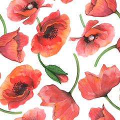 Watercolor Seamless pattern of poppy on white background.