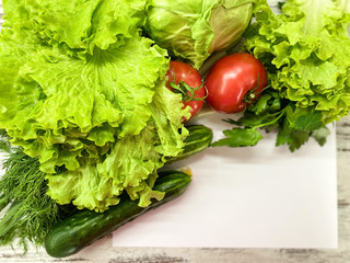 Bright seasonal vegetables on an abstract light surface.