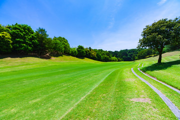 ゴルフコース　ゴルフ場　フェアウェイ　風景　自然　日本　青空　快晴　晴れ　ビジネス　戦略　マナー