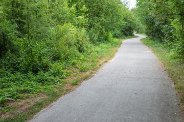 Waldweg