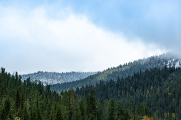 forest hills under blue cloudy sky, autumn mood of nature