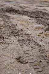 Traces of tires from a car on a dirt road