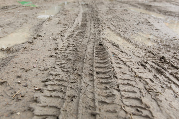 Traces of tires from a car on a dirt road