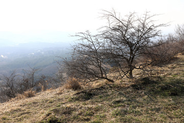 Landscape of Kislovodsk Park