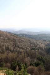 View of Kislovodsk Park