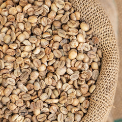 Green coffee beans in canvas sack