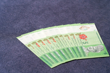 Obraz premium Bank Note Malaysia Ringgit RM5 Economy Investment Exchange Market Fortune