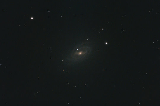 The barred spiral galaxy Messier 109 in the constellation Ursa Major photographed with a Maksutov telescope from Mannheim in Germany.