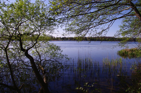 Parchimer Wockersee