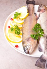 Fresh trout fish with lemon parsley cranberries