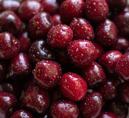 Macro image of red cherries . Natural background of summer sweet fruits. Shallow depth of field. Copy space. Closeup.