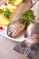 Fresh trout fish with lemon parsley cranberries