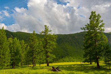 mountain valley with trees and hills under cloudy sky, place for meditation and hiking