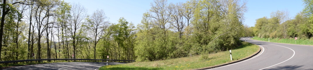 kurvige Eifelstraße durch den Frühlingswald