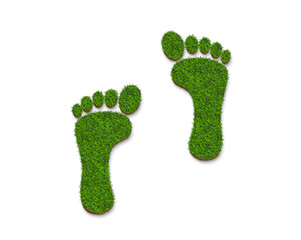 footprint icon logo from green grass texture isolated on white background