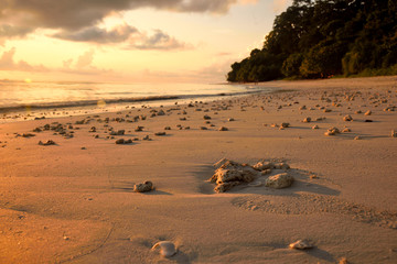 Obraz premium sunrise on the beach