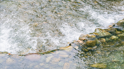 stream in stone bed, fast mountain river among rocks, water boils in eddies of current
