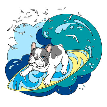 Cute cartoon french bulldog on a surf. Vector illustration