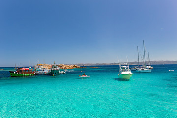 Obraz premium Various tourist boats are stationed in the clear and transparent waters in the Maddalena archipelago in Sardinia, Italy.