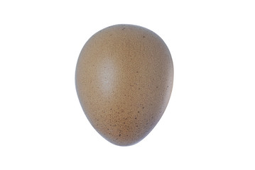 chicken egg isolated on white background