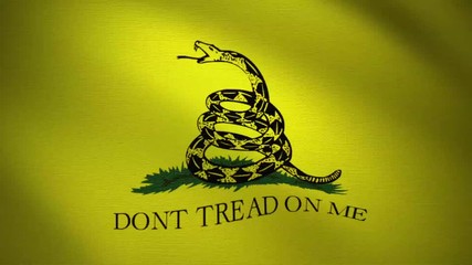 looping video of waving flag of gadsden