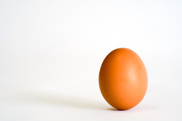 Fresh Chicken Egg in Container 