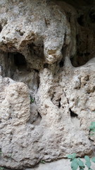 
rock formation with caves.