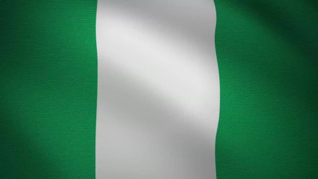 looping video of waving flag of nigeria