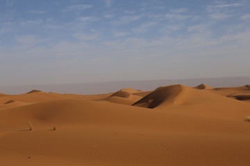 Fototapeta na wymiar Dunes dans le désert Marocain dans la région de Ouarzazate