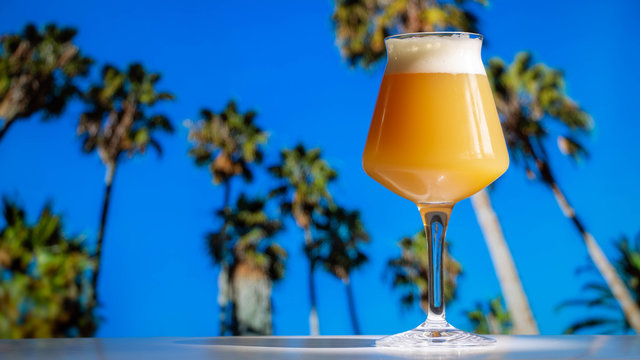 A hazy India pale ale craft beer in a Teku Glass with tropical palm trees and blue sky.