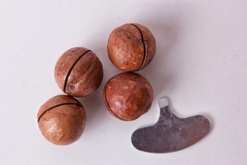 Isolated macadamia nuts with key on white background