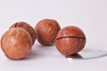Isolated macadamia nuts with key on white background