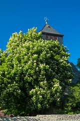 Ottilienberg bei Eppingen