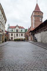 Fototapeta na wymiar Detail of monument in Krakow, Poland