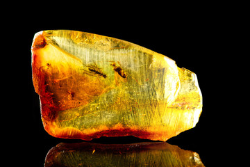 An amazing piece of Baltic amber with prehistoric flies frozen in it. Isolated with a reflection on a black background. Close-up photo. 