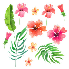 Set of hand drawn watercolor hibiscus flowers and tropical leaves isolated on white background.