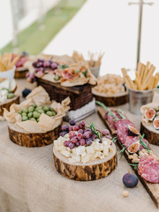 Close up. Details of a wedding buffet with cheese, berries, figs, nuts, fruits.