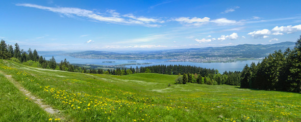 Panorama Zürichssee und Zürich vom Stöcklirüz aus mit Bergwiese und Wanderweg