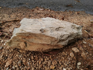 sedimentary shale rock on nature background. 