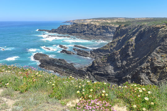Portugal, Beja, Farol Cabo Sard&atilde;o, Cabo Sardao - Ein beeindruckender Steilk&uuml;stenabschnitt mit nistenden St&ouml;rchen auf den Klippen. Drum herum ist alles bunt bewachsen mit wilden Blumen.