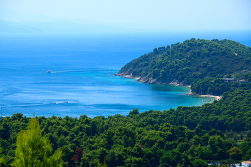Fototapeta na wymiar Green plants on the islands of the Aegean Sea, Greece