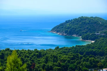Fotobehang Green plants on the islands of the Aegean Sea, Greece © Vadim