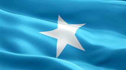 Somalia flag Motion Loop video waving in wind. Realistic Somali Flag background. Somalia Flag Looping Closeup 1080p Full HD 1920X1080 footage. Somalia Africa country flags footage video for film,news
