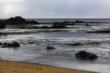 basalt rocks on the shore of the blue ocean in Iceland.